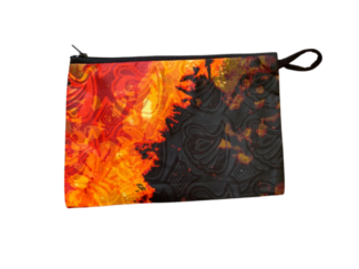 Bag, pouch or case