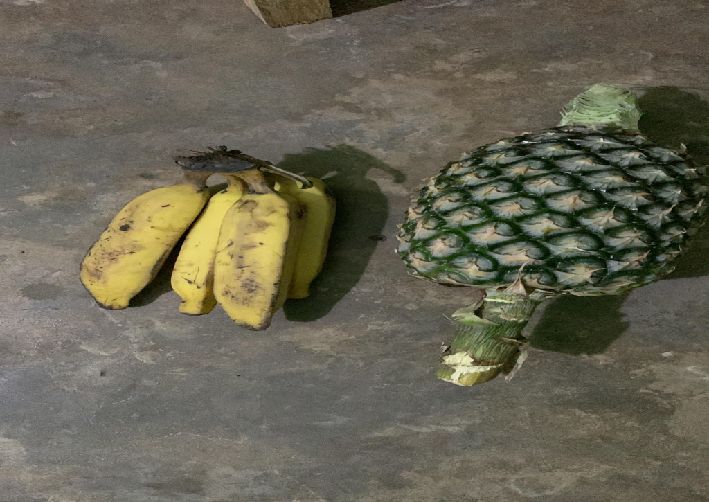 Banana and pineapple of Centre des Hommes Ecovillage land