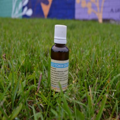 Basilic African oil