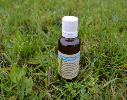 Basilic African oil