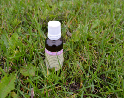 Cinnamon oil