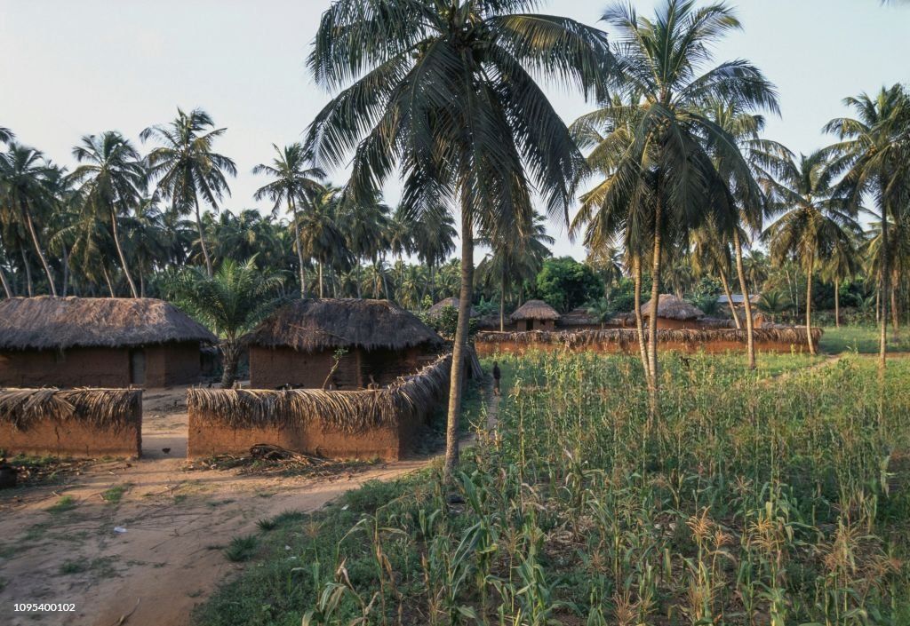 Coconut tree village Seko-Togo