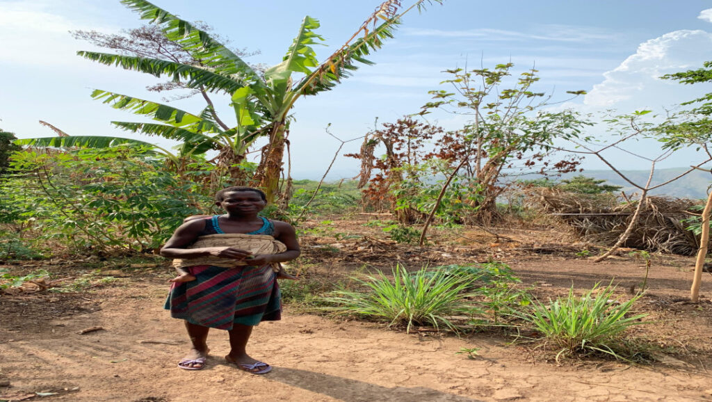 Dry season landscape of Togo: Everything is green